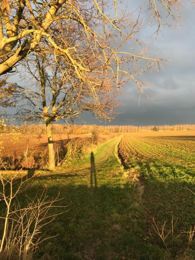 La Suite Cosy - Votre Pause Arboree La Bruyere Exterior foto