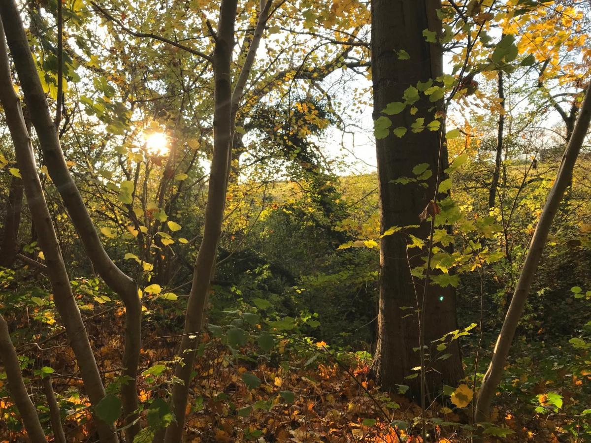 La Suite Cosy - Votre Pause Arboree La Bruyere Exterior foto
