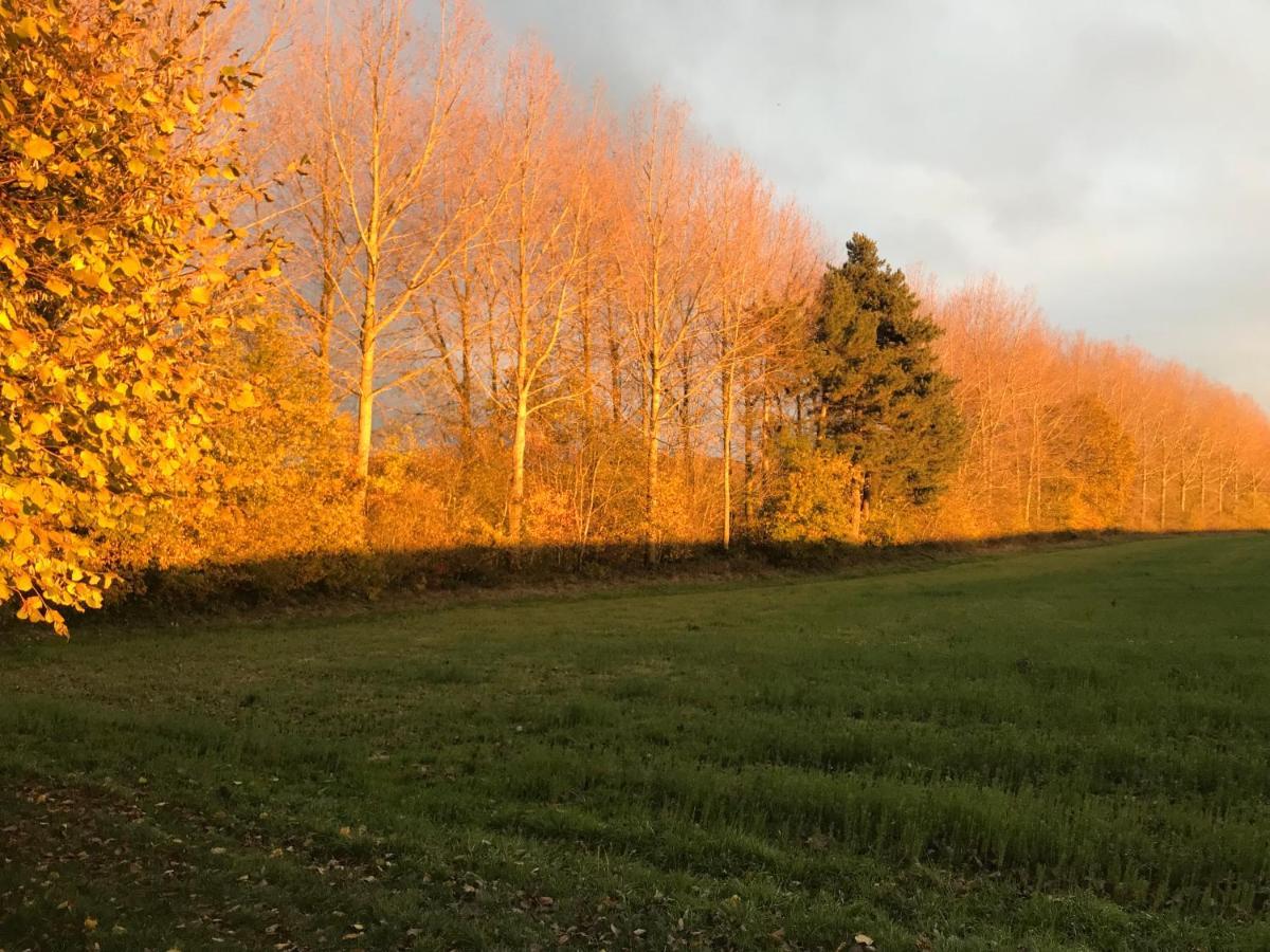 La Suite Cosy - Votre Pause Arboree La Bruyere Exterior foto