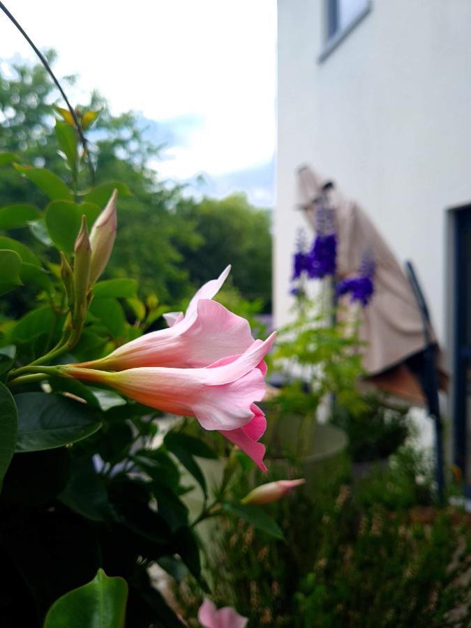 La Suite Cosy - Votre Pause Arboree La Bruyere Exterior foto