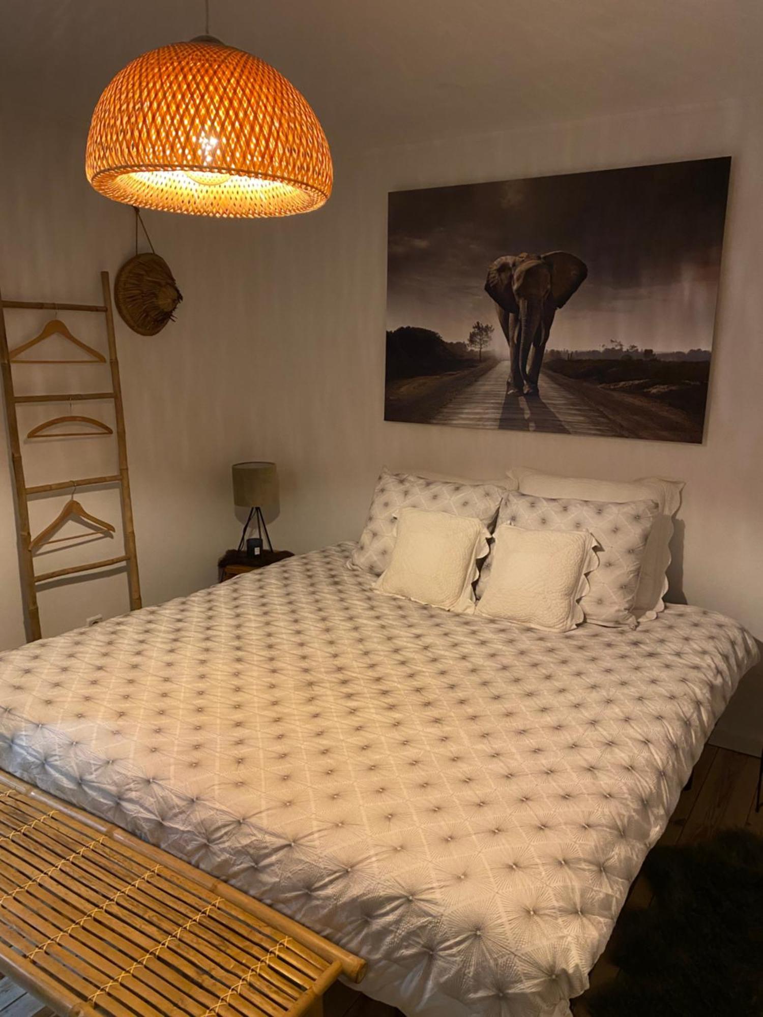 La Suite Cosy - Votre Pause Arboree La Bruyere Exterior foto