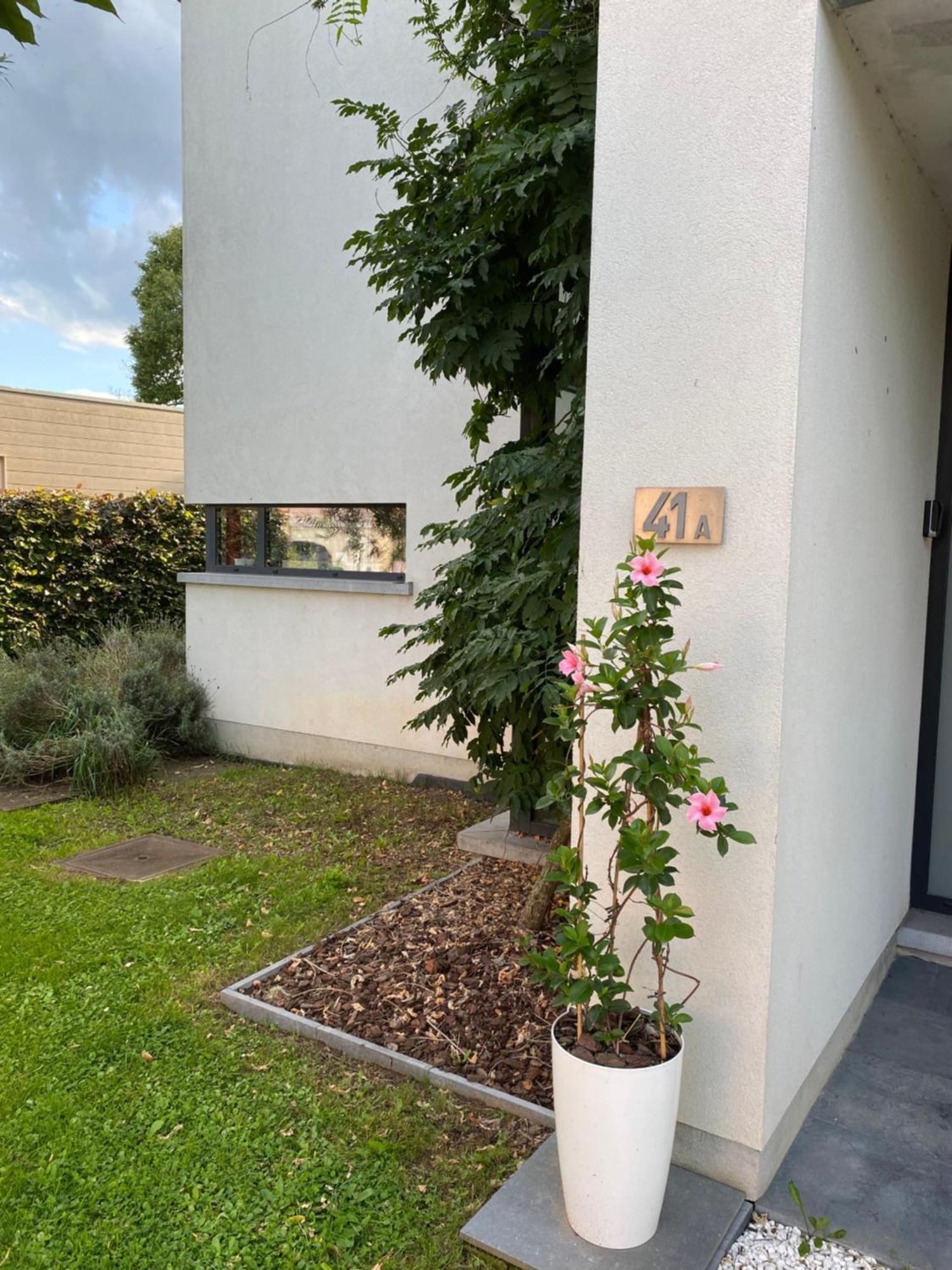 La Suite Cosy - Votre Pause Arboree La Bruyere Exterior foto
